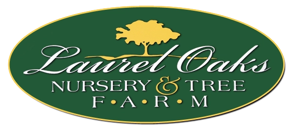Laurel Oaks Nursery & Tree Farm Logo